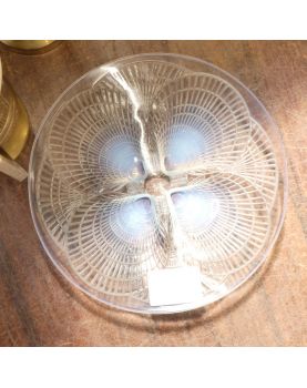 Coupe Opalescente Coquille Saint Jacques par René LALIQUE France