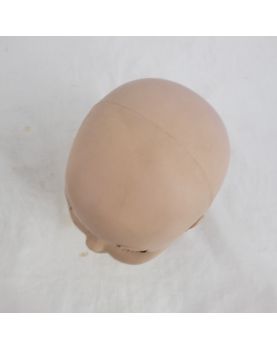 dummy head