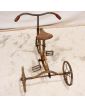 Ancien Petit Vélo 3 Roues