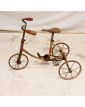 Ancien Petit Vélo 3 Roues