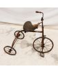 Ancien Vélo Triporteur pour Enfant avec 3 Roues
