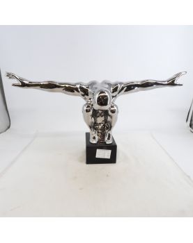 Modern Silver Diver Subject