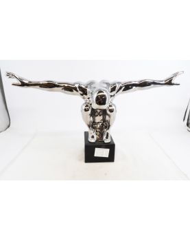 Modern Silver Diver Subject