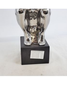 Modern Silver Diver Subject