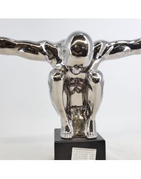 Modern Silver Diver Subject