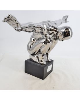 Modern Silver Diver Subject