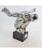 Modern Silver Diver Subject