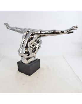 Modern Silver Diver Subject