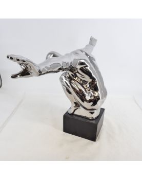 Modern Silver Diver Subject