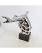 Modern Silver Diver Subject