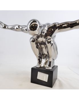 Modern Silver Diver Subject