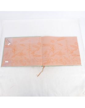 Livre A.ROBIDA