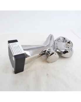 Modern Silver Face Composition