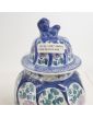Paire de Potiche Asiatique