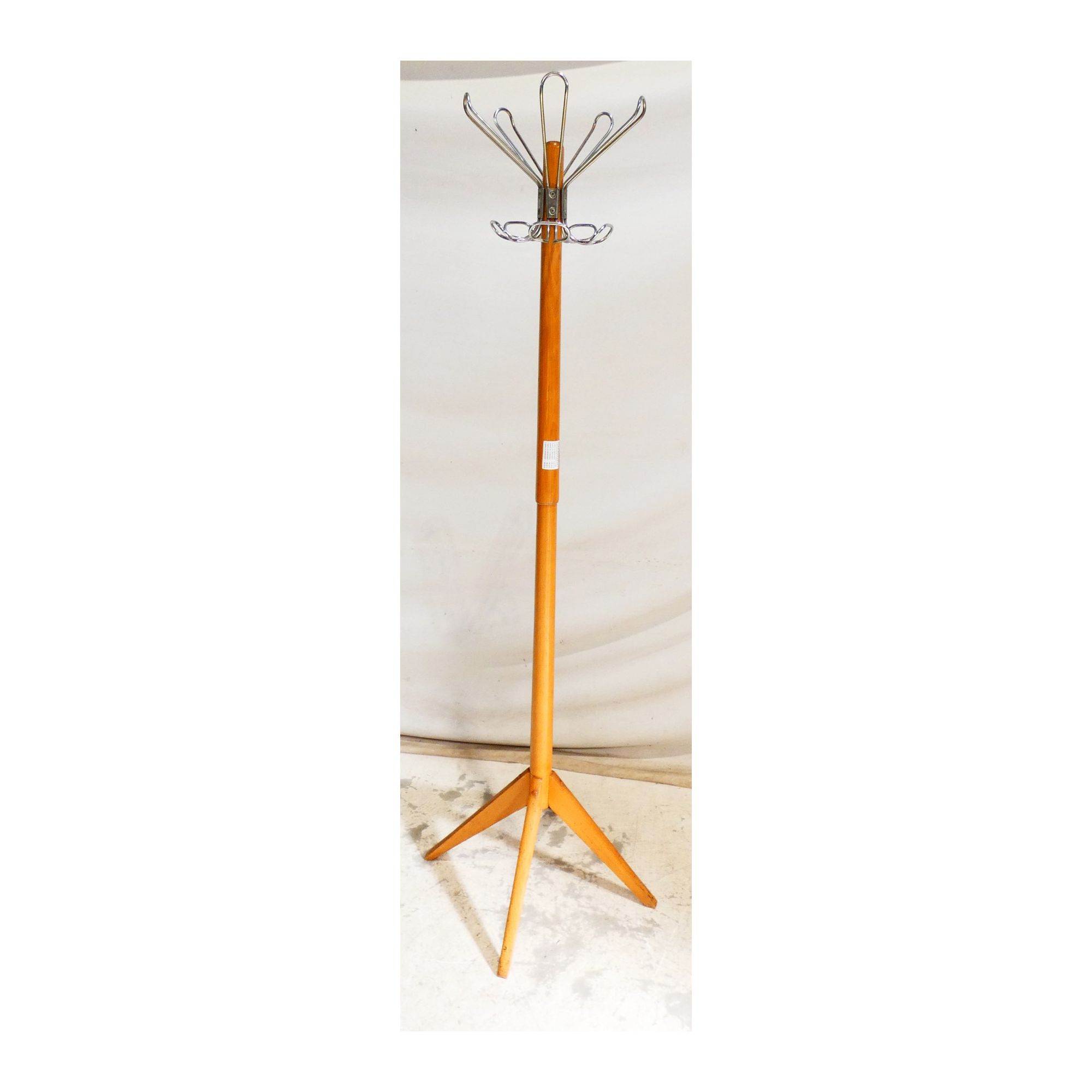 Perroquet Pieds Compas Perroquet Pieds Compas