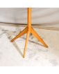 Perroquet Pieds Compas