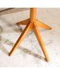 Perroquet Pieds Compas