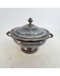 Large Vegetable in Silver metal