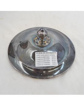 Large Vegetable in Silver metal