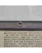 Miniature Encadrée Femme