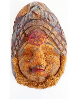 Noix Trinidad XIXe Siècle